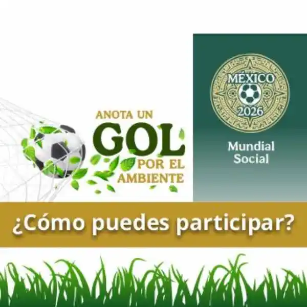 Gol por el ambiente